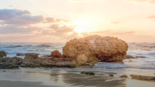 AG老哥俱乐部-老哥必备的交流社区