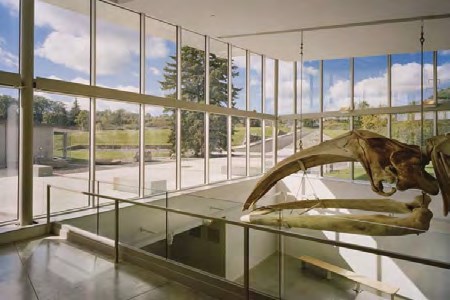 AG老哥俱乐部-老哥必备的交流社区